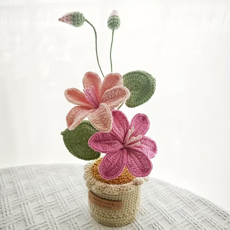 Big Size Crochet Pot Pink LILLY , Perfect for Gifts on Valentine'S Day, Teacher'S Day, Mother'S Day, Father'S Day, Weddings, Anniversaries, Birthdays, And for Decorating Living Rooms, Rooms,