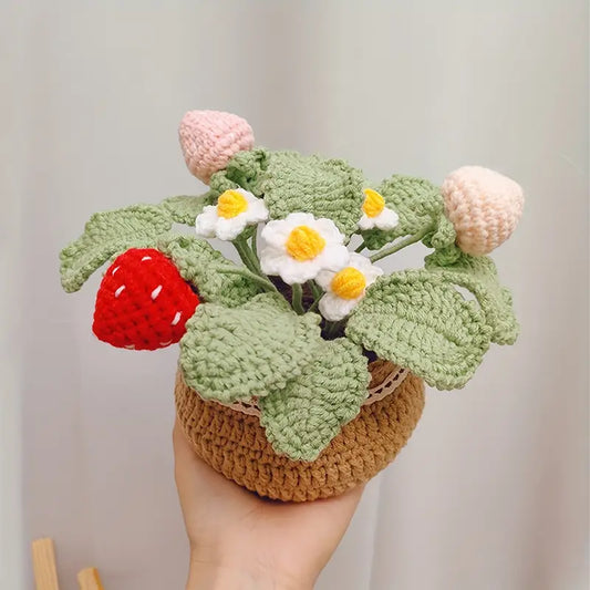 Handmade Crochet Strawberry Flower Pot – Forever Blooms for Home Decor or Gifting