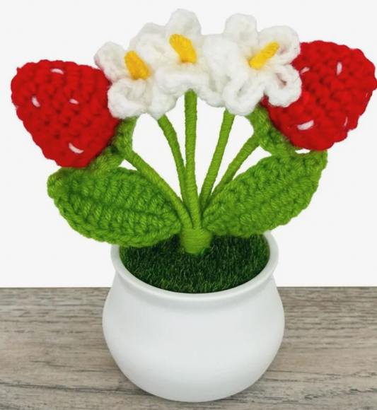 Handmade Crochet Small Strawberry Flower Pot – Forever Blooms for Home Decor or Gifting