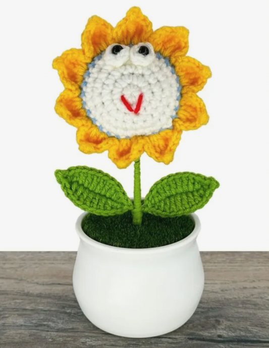 Handmade Crochet Cute Head Flower Pot – Forever Blooms for Home Decor or Gifting